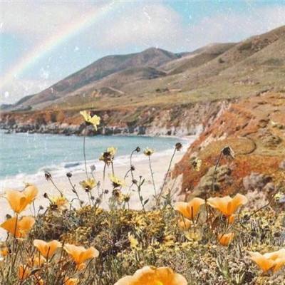 金沙乐娱场app下载手机app下载